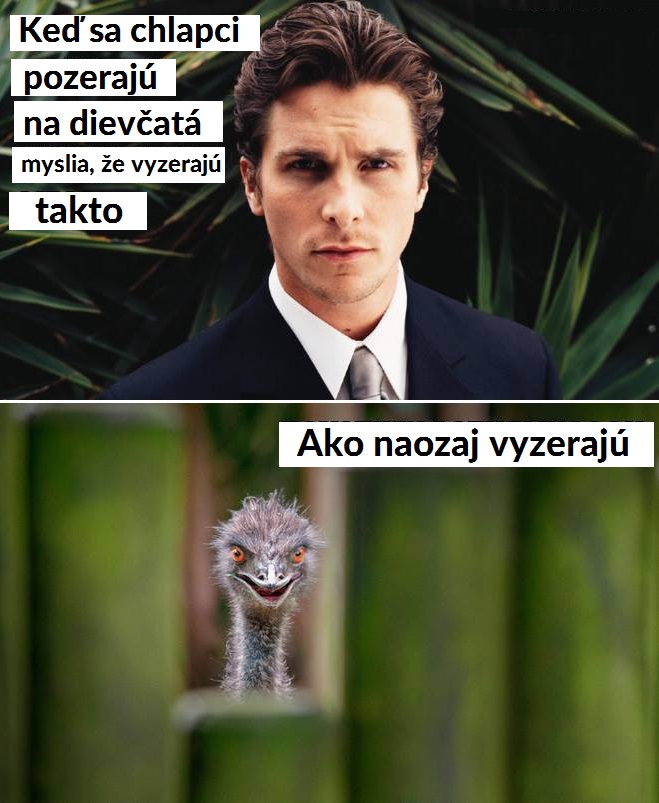 Taká je realita, bohužiaľ…
