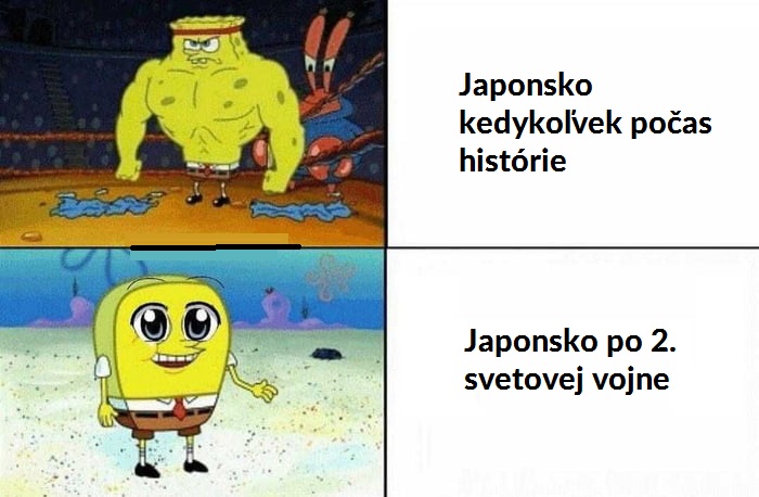 Tak to vyšlo celkom blbo