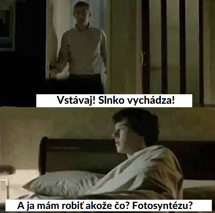 A čo s tým mám ku*va robiť?