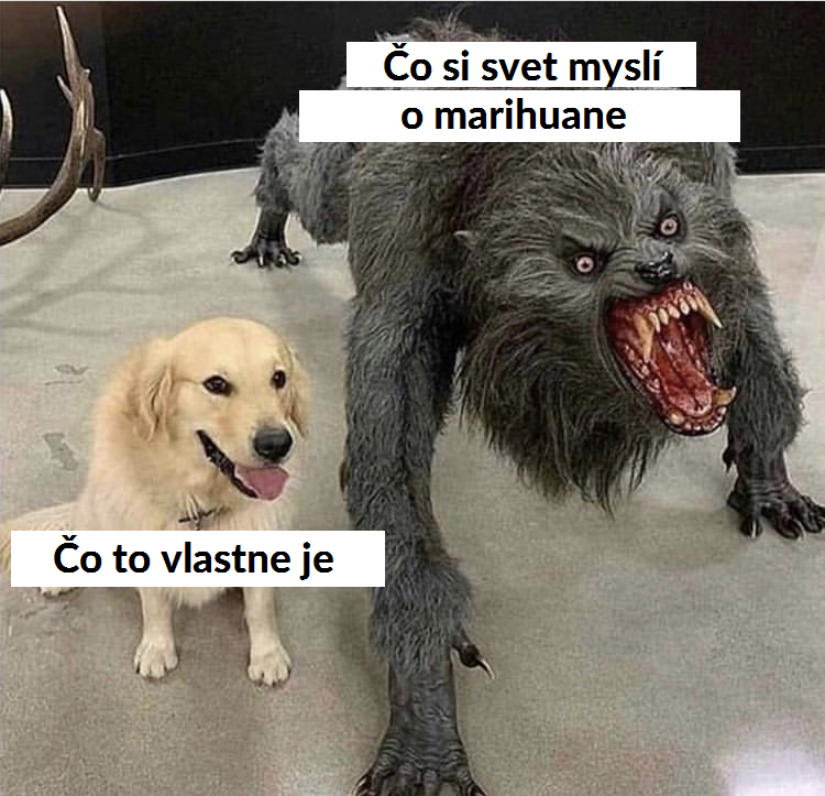 Takto to je