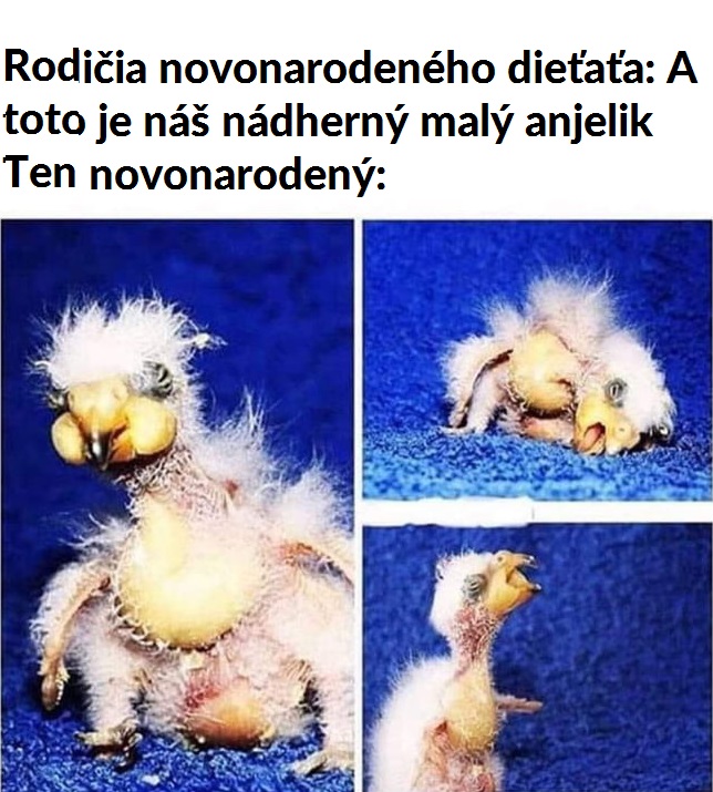 Je to náš anjelik!