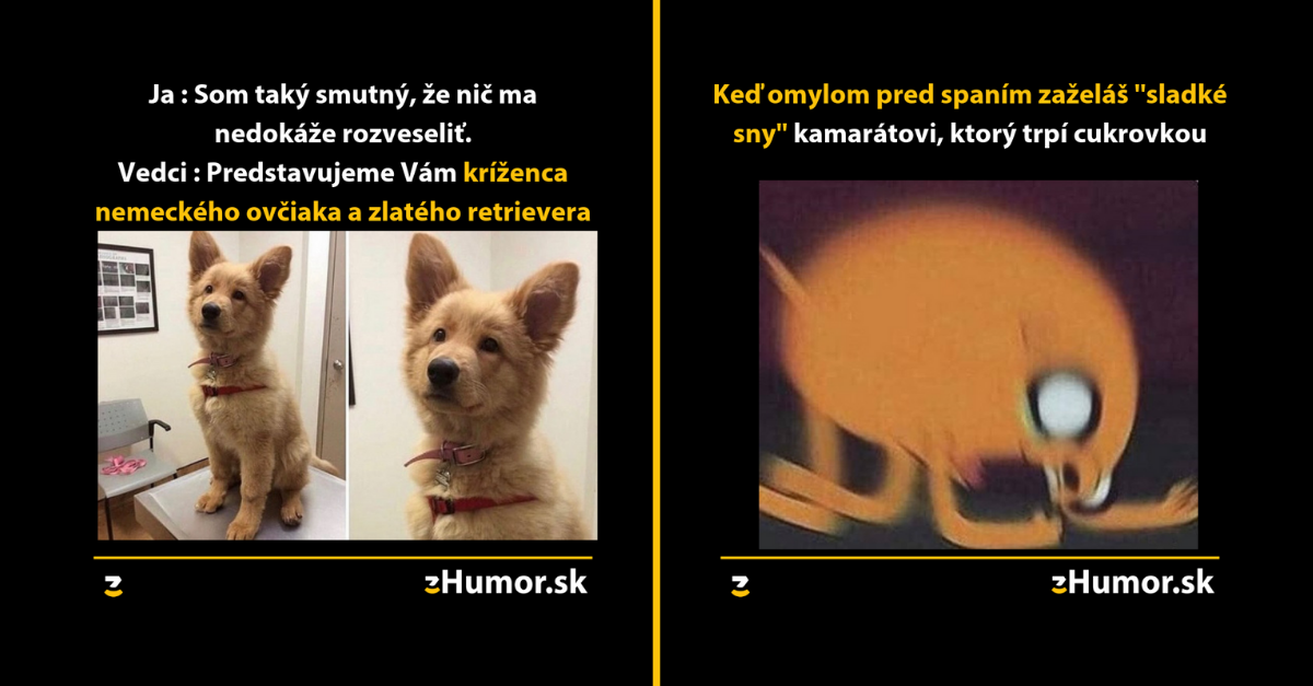 Zopár memečiek, ktoré vznikli aby ti spríjemnili dnešný deň #653