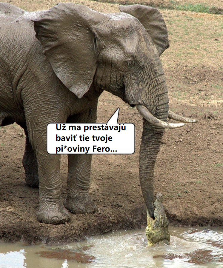 Už ma to fakt prestáva baviť…