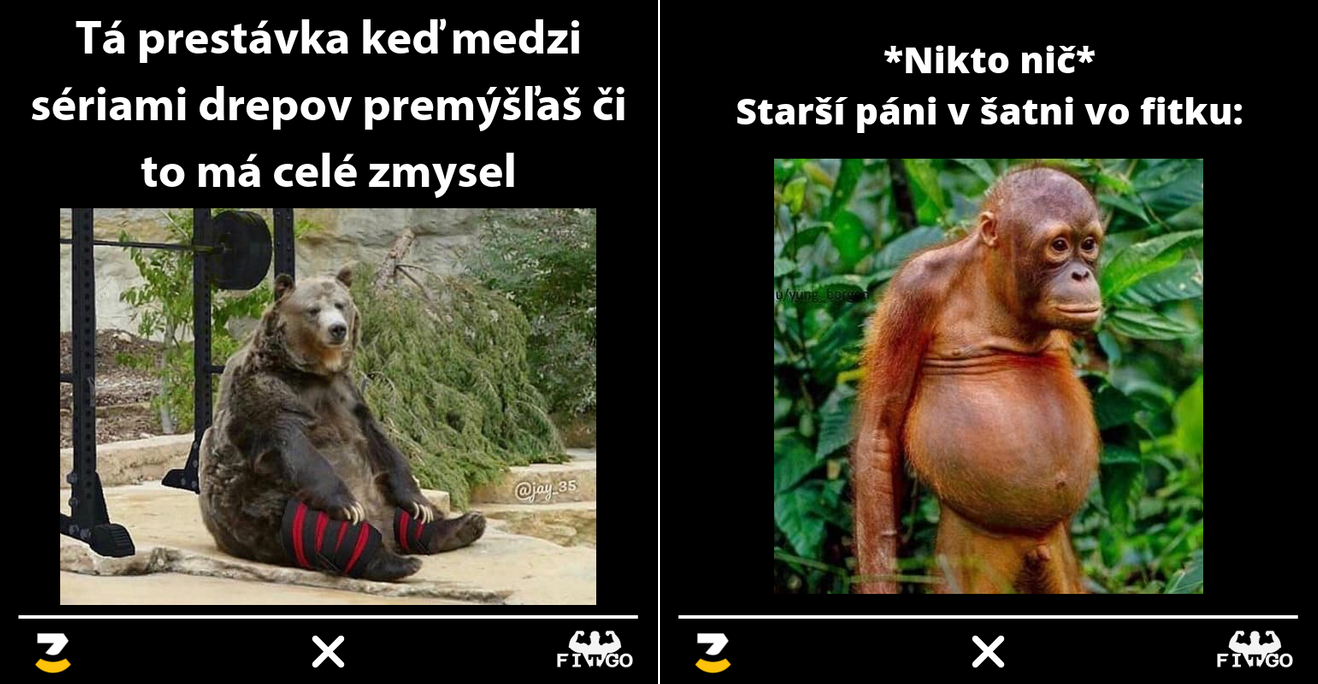 Tieto memes vznikli pre milovníkov fitness a posilňovania – Ak chodíš makať určite sa s nimi stotožníš !