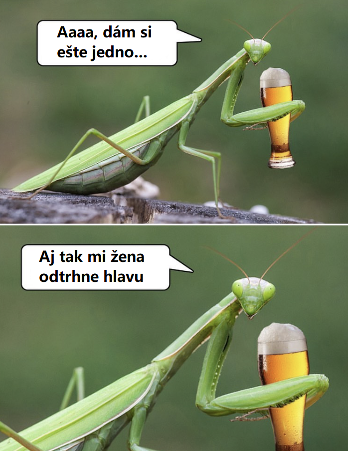 Aj tak prídem o hlavu