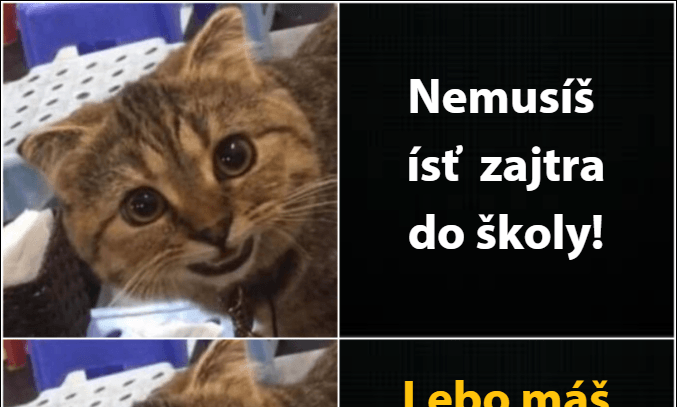 Veľmi nepríjemná situácia