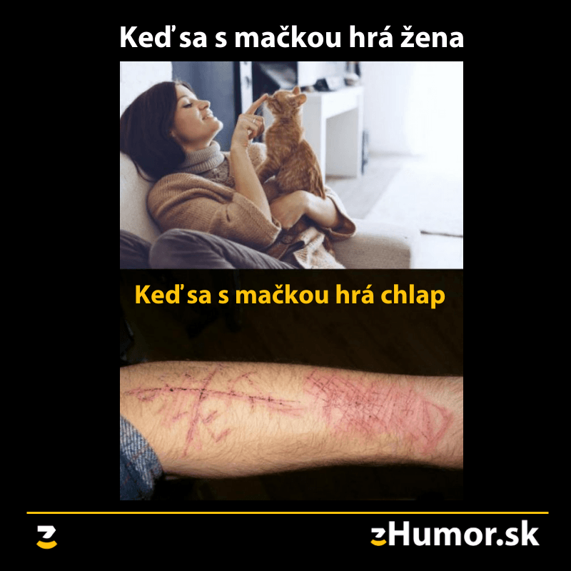 Mačička sa nechcela hrať