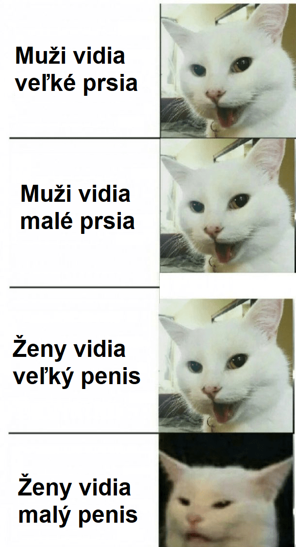 Rozdielne vnímanie