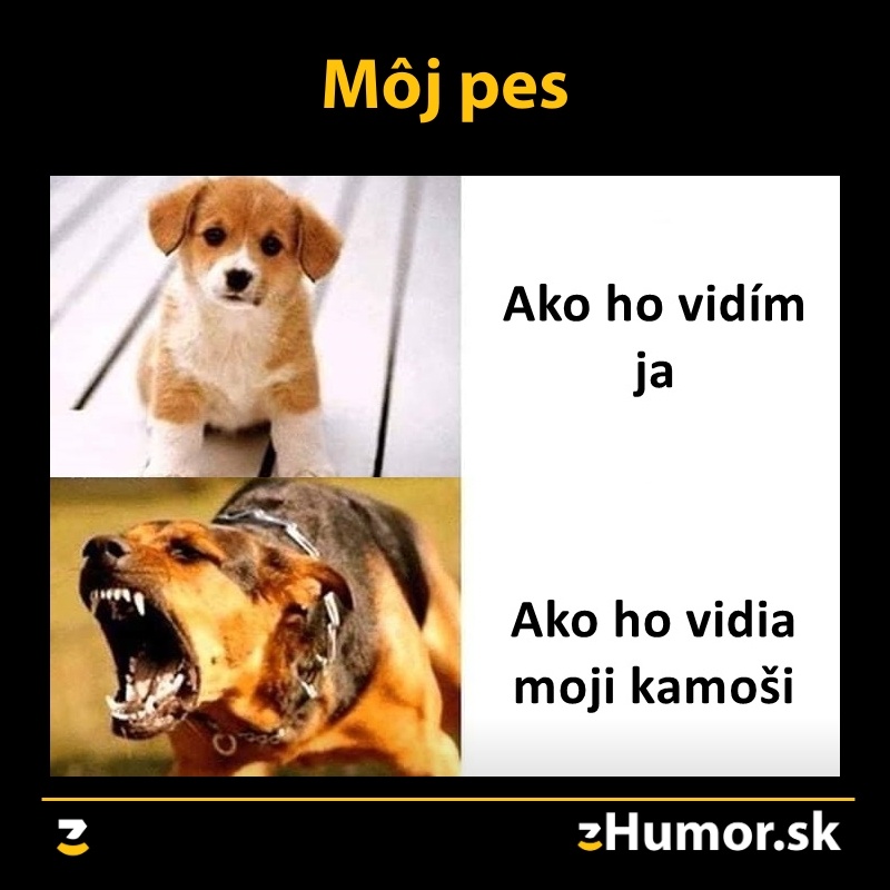 Každý to vidí inak