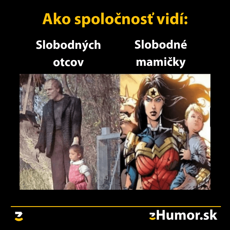 Pohľad spoločnosti
