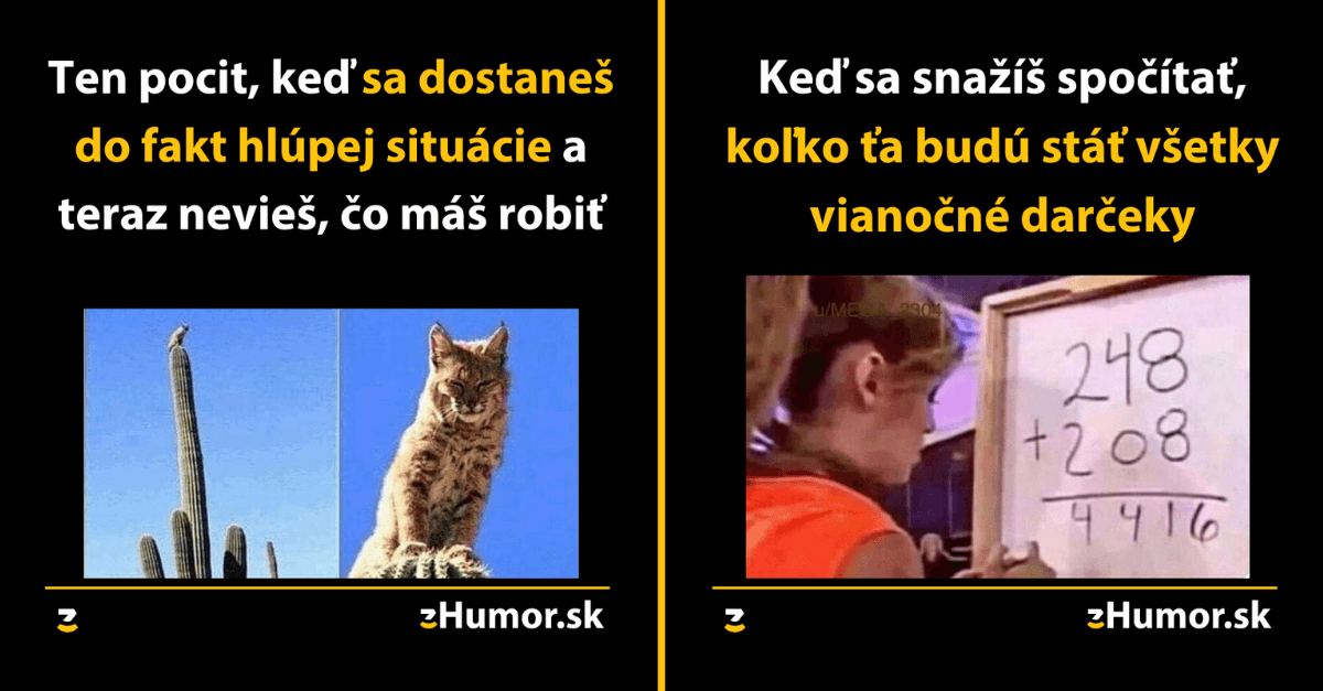 Zopár memečiek, ktoré vznikli aby ti spríjemnili dnešný deň #747 : Mačky a večné problémy s nimi