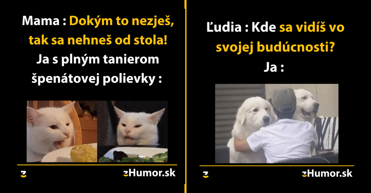 Zopár memečiek, ktoré vznikli aby ti spríjemnili dnešný deň #748 : Ako občas chytám pri svojom domácom miláčikovi záchvaty.