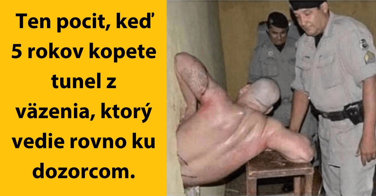 10 obrázkov: Keď budeš mať zlý deň, spomeň si na týchto expertov