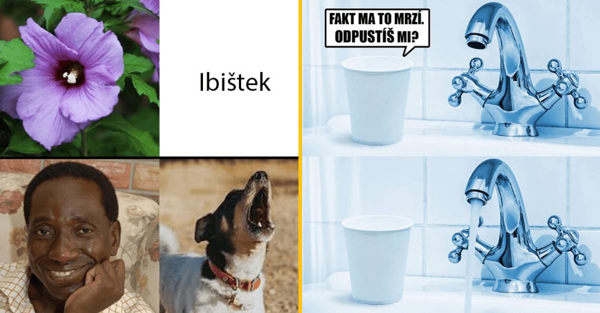 Vtipné slovné hračky pre dnešný deň, ktoré ťa potrápia ale aj pobavia #25