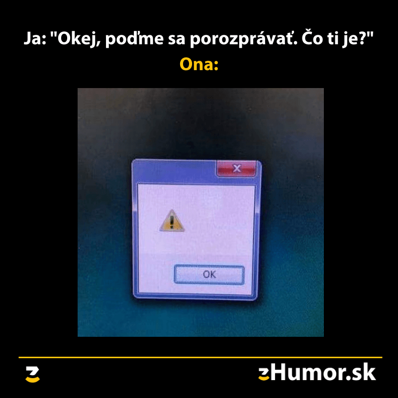 Ženská logika