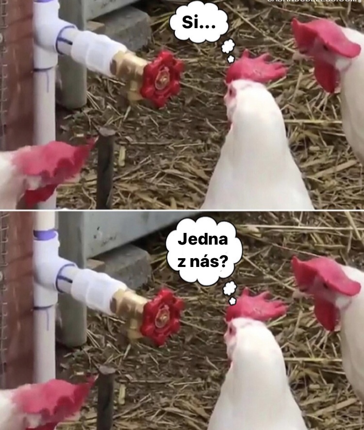 Si jedna z nás?
