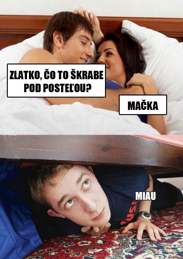 To je len mačka