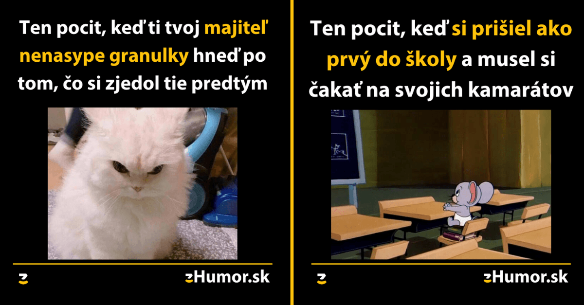 Zopár memečiek, ktoré vznikli aby ti spríjemnili dnešný deň #785 : Usmievam sa viac než dosť.