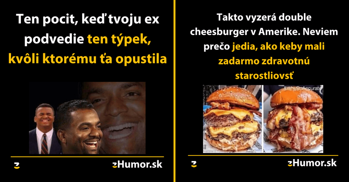 Zopár memečiek, ktoré vznikli aby ti spríjemnili dnešný deň #770 : Môj pes nemá rád Vianoce!