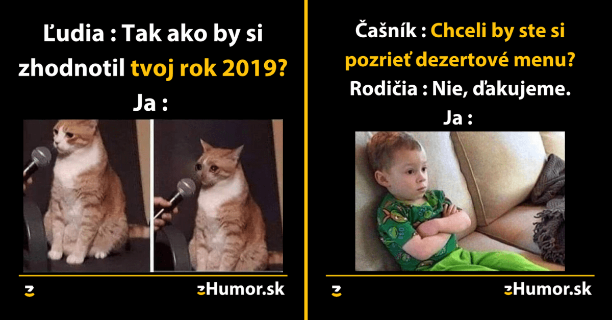 Zopár memečiek, ktoré vznikli aby ti spríjemnili dnešný deň #787 : Sumár môjho roku 2019.