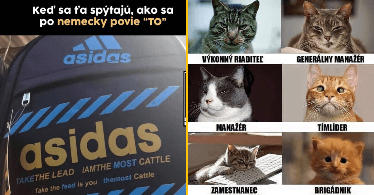 20+ Obrázkov: Všetko vtipné z internetu! #153