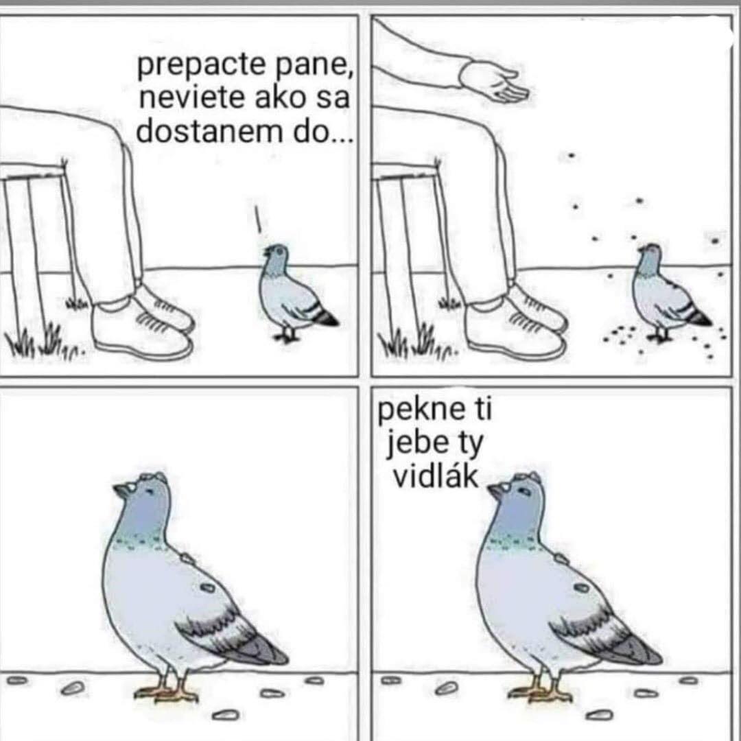 Chcel len poradiť