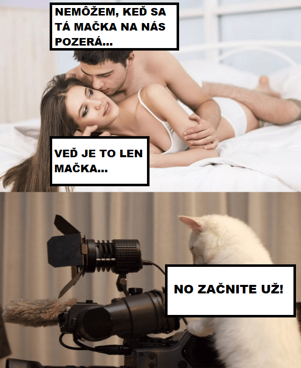 Zlatá cica