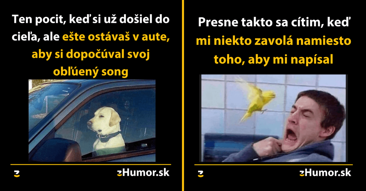 Zopár memečiek, ktoré vznikli aby ti spríjemnili dnešný deň #803 : Každý už zaklamal, len aby nemusel ísť do školy.
