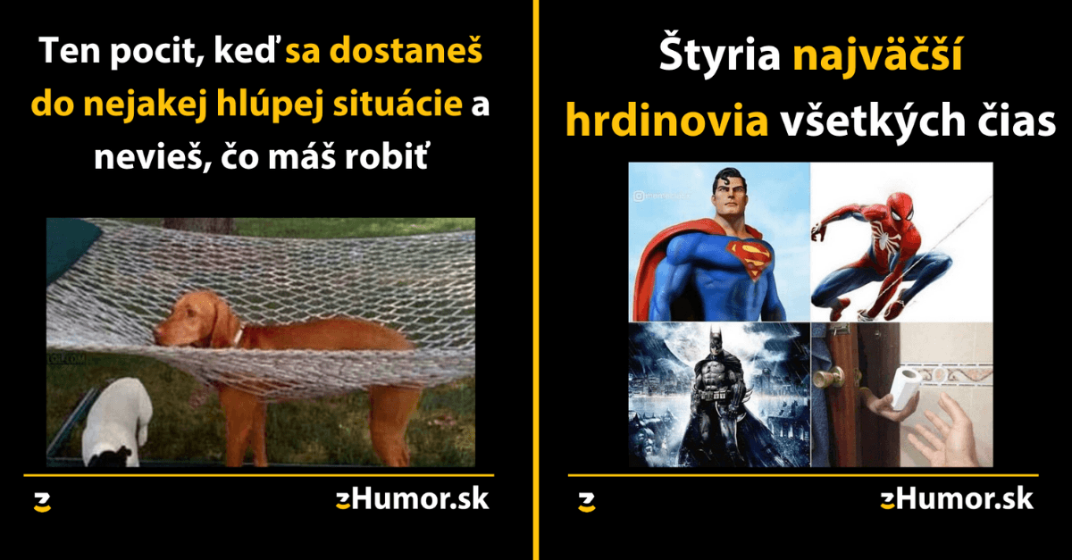 Zopár memečiek, ktoré vznikli aby ti spríjemnili dnešný deň #804 : Keď sa reinkarnácia nepodarí.