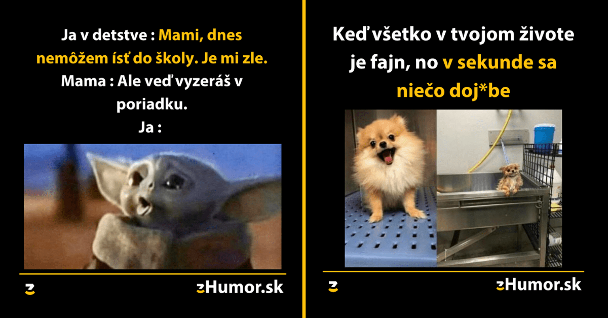 Zopár memečiek, ktoré vznikli aby ti spríjemnili dnešný deň #809 : Nechápem, prečo nemám kamarátov.