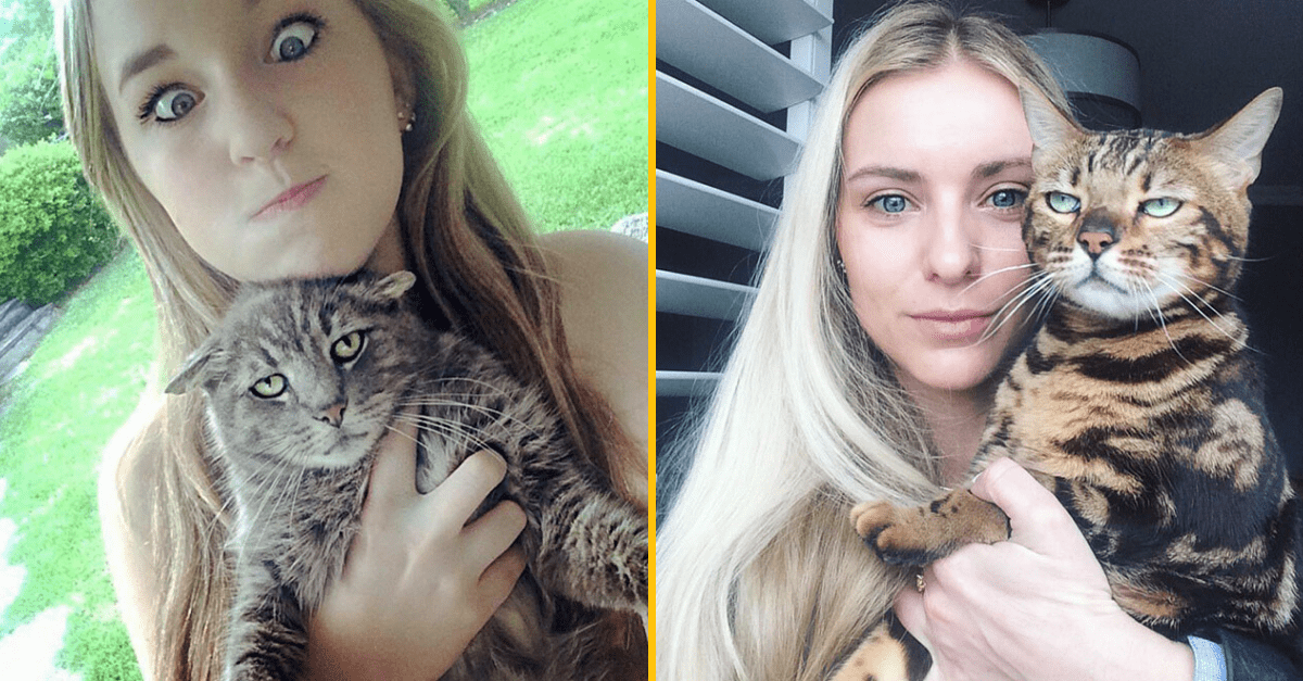 Mačky, ktoré nenávidia byť súčasťou trápnych ľudských selfies