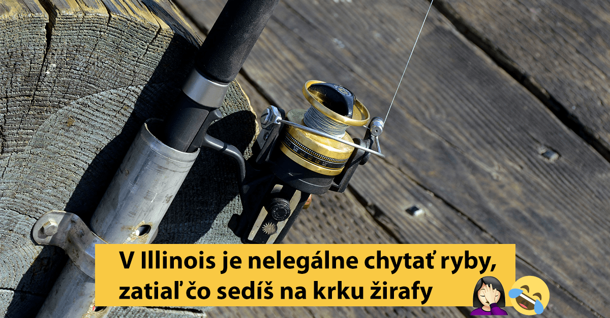 10+ neuveriteľne bizarných zákonov, ktoré ti zamotajú hlavu