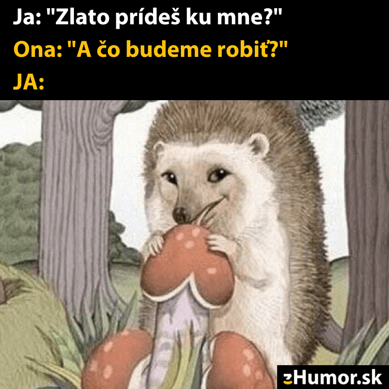 Čo budeme robiť?