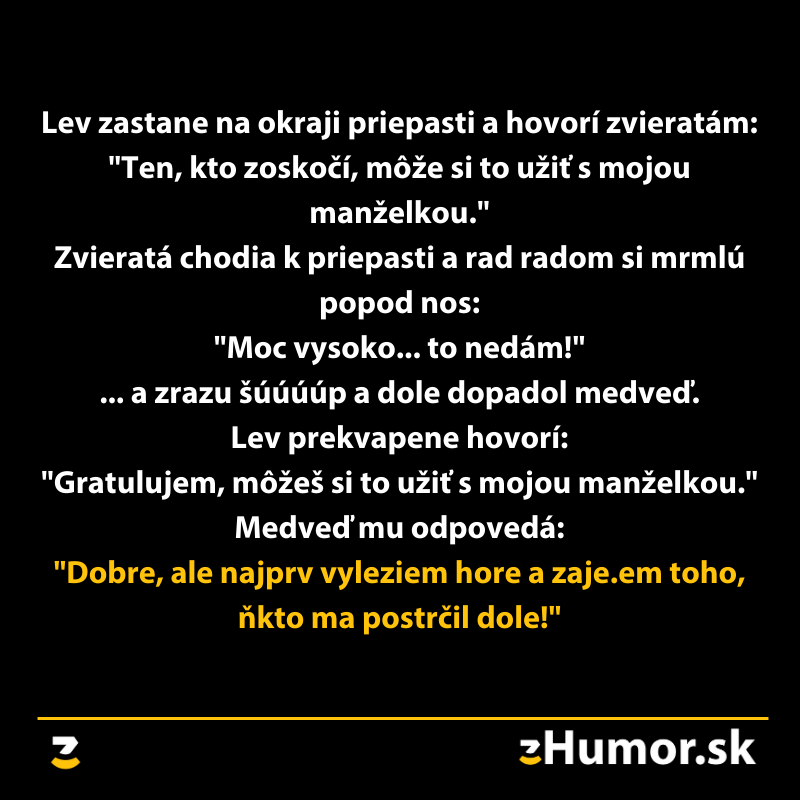 VTIP DŇA: Odvážny medveď