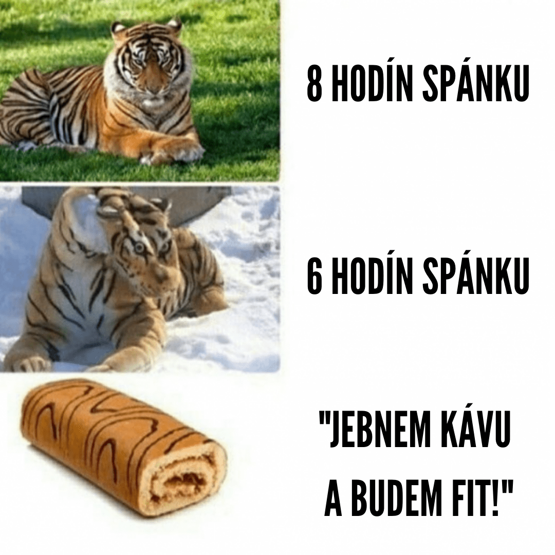 3 fázy spánku