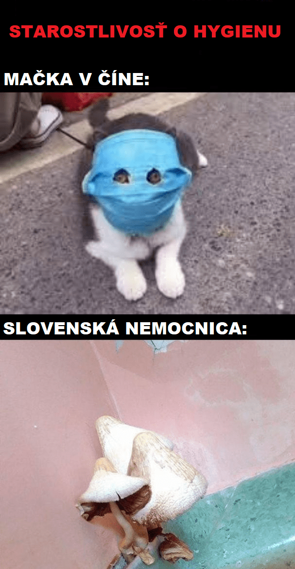 Hygiena – Čína vs. Slovensko