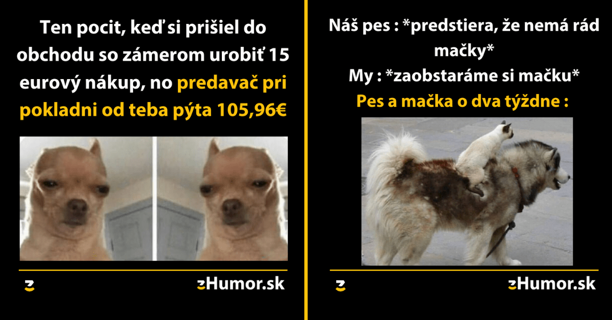Zopár memečiek, ktoré vznikli aby ti spríjemnili dnešný deň #832 : Sprcha je moja koncertná hala.