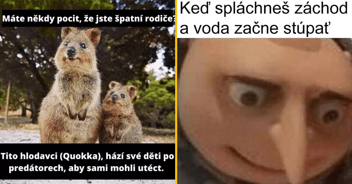 20+ Obrázkov: Všetko vtipné z internetu! #159