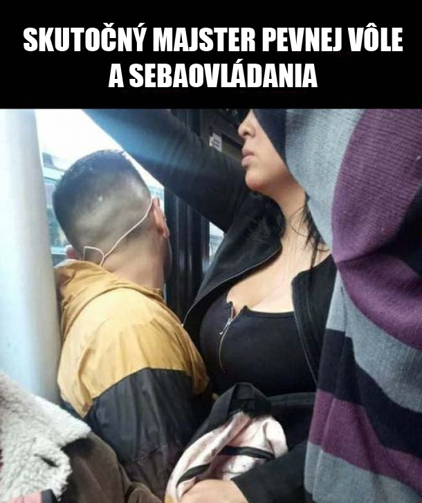 Majster sebaovládania