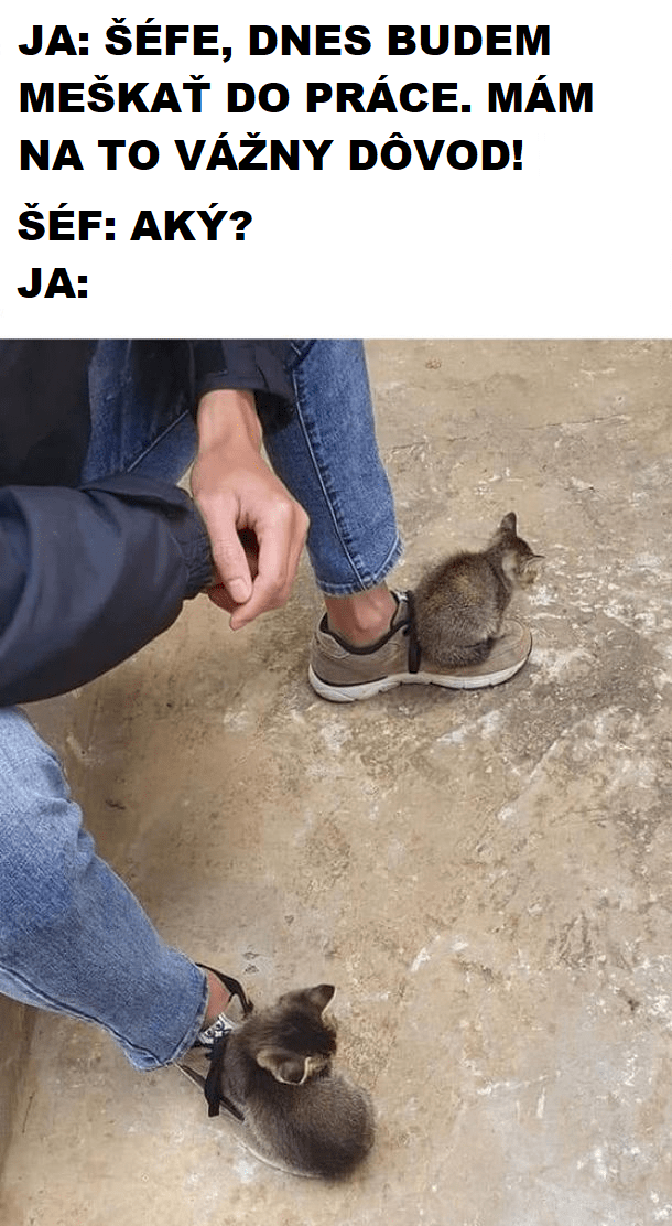 Veľmi vážny dôvod
