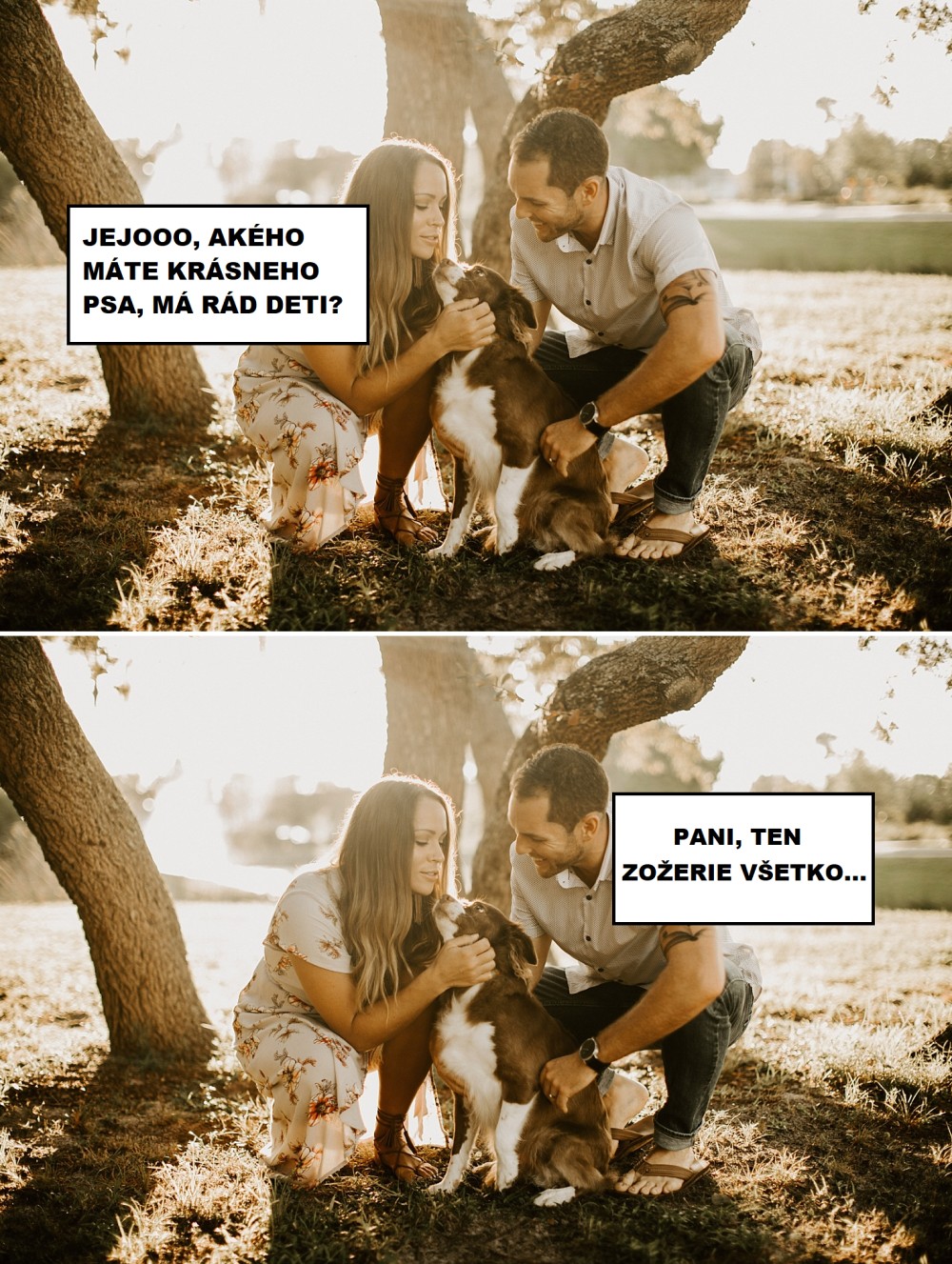 Zlatý psík
