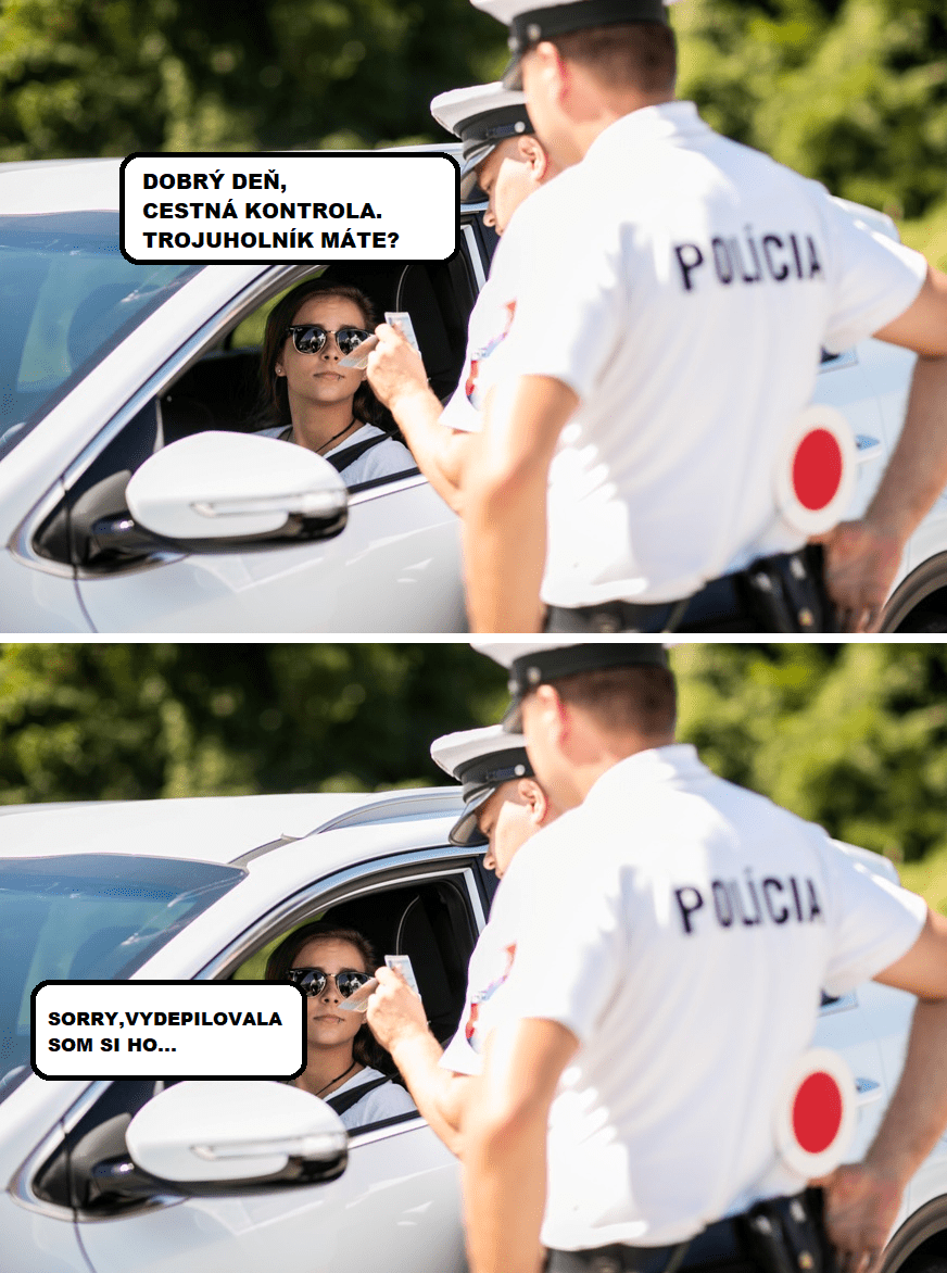 Cestná kontrola