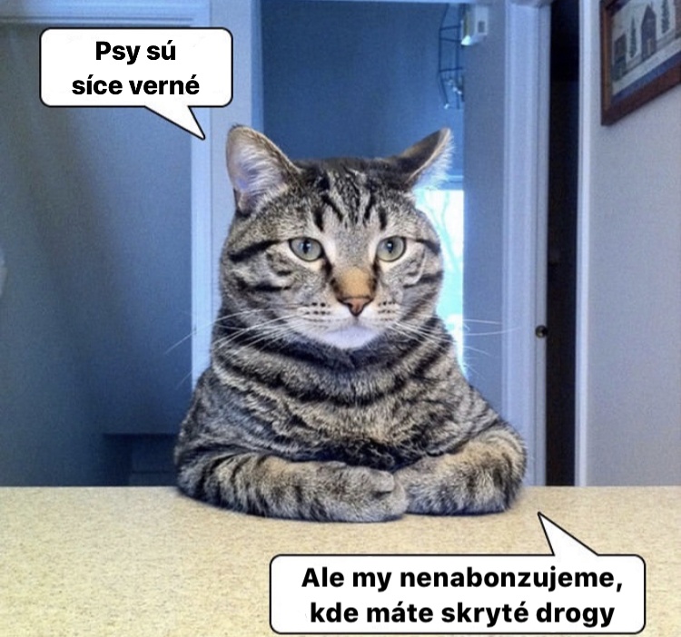 Vidíte, nie sme až také zlé!
