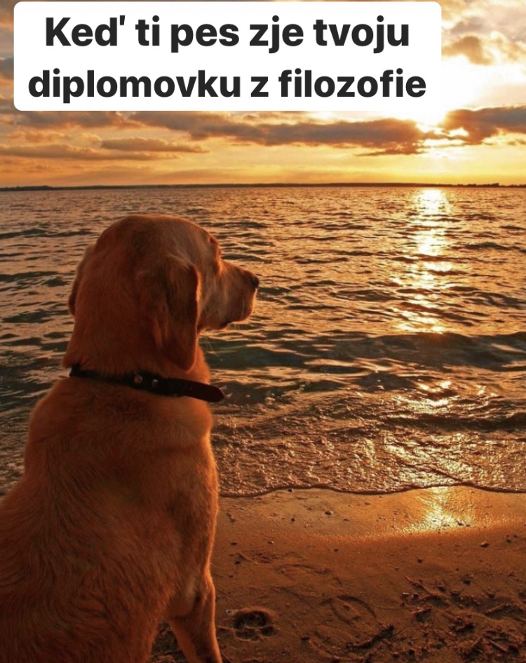 Zrazu chodí nejaký zamyslený