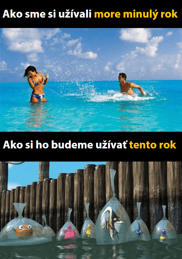 More – minulý VS. tento rok