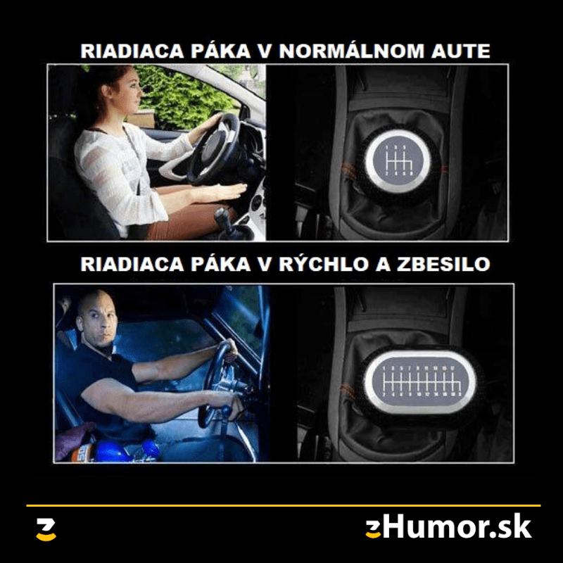 Riadiaca páka