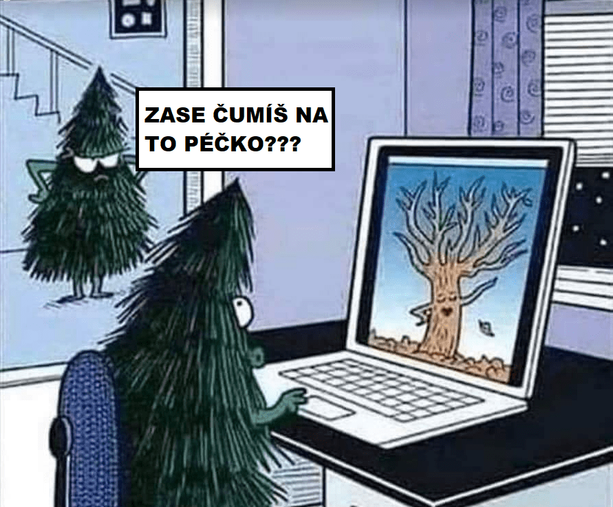 Stromy a ich chúťky