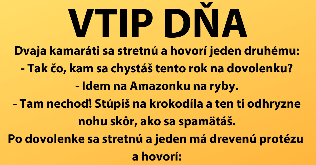 VTIP DŇA: Kamarát na dovolenke…