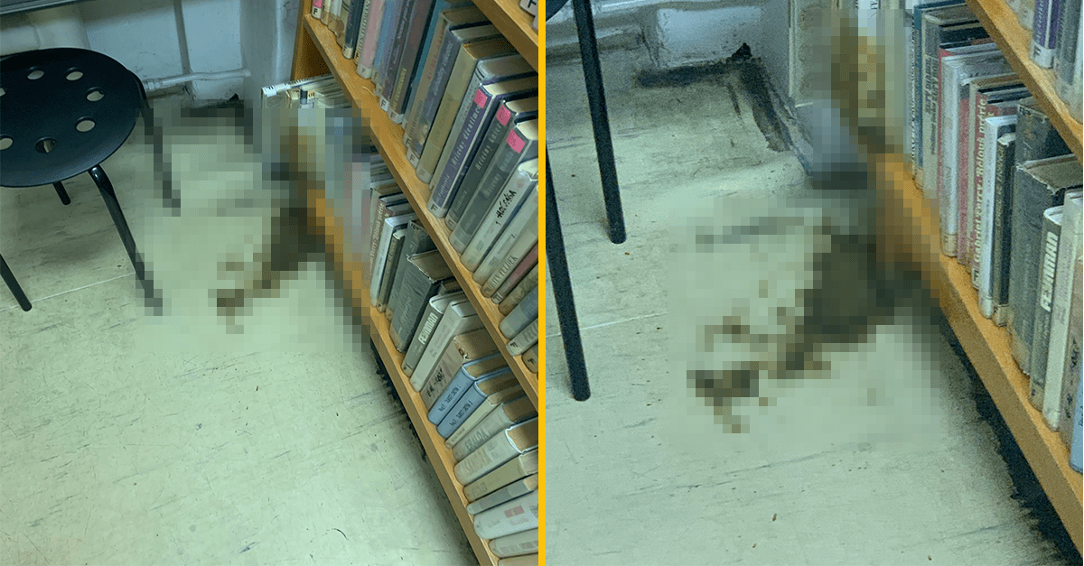 Bratislavská knižnica musí riešiť bizarný prípad. Niekto tam vykonal veľkú potrebu priamo na zem a knihy