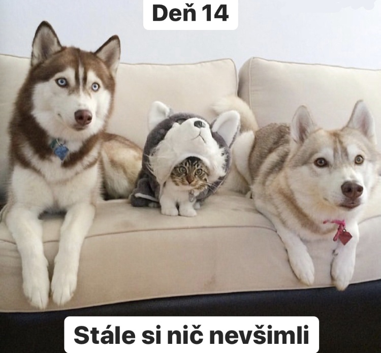 Zatiaľ som v bezpečí